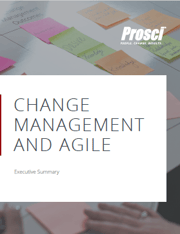 CM and Agile
