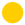 Circle Icon